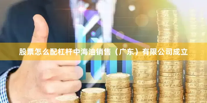股票怎么配杠杆中海油销售（广东）有限公司成立