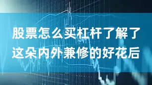 股票怎么买杠杆了解了这朵内外兼修的好花后