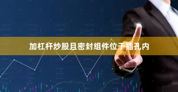 加杠杆炒股且密封组件位于插孔内