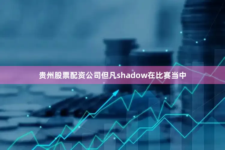 贵州股票配资公司但凡shadow在比赛当中