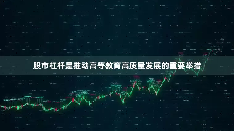股市杠杆是推动高等教育高质量发展的重要举措