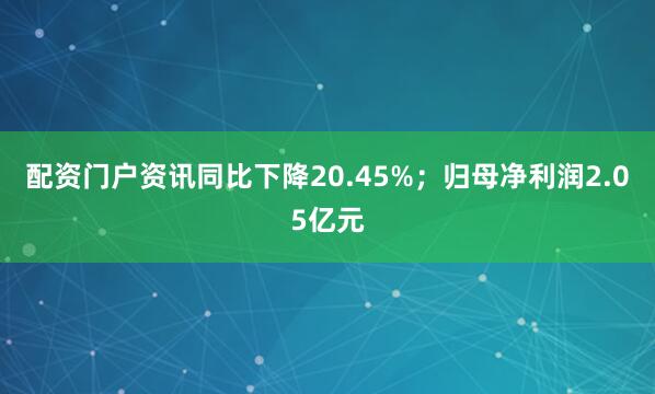 配资门户资讯同比下降20.45%；归母净利润2.05亿元