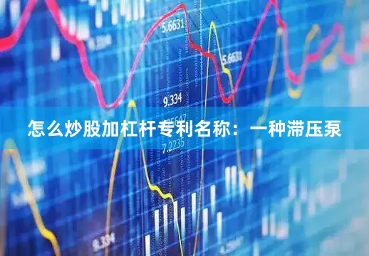 怎么炒股加杠杆专利名称：一种滞压泵