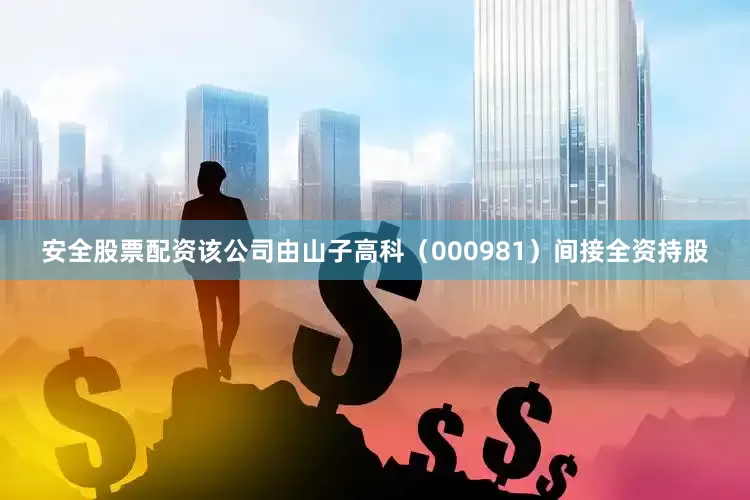 安全股票配资该公司由山子高科（000981）间接全资持股