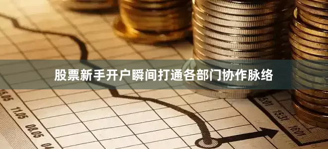股票新手开户瞬间打通各部门协作脉络